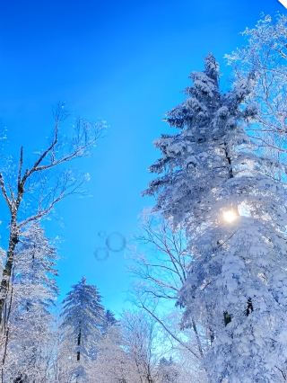 백두산‖연길‖5일 여행 공략 상세 설명이 왔습니다. 저장해 두세요!