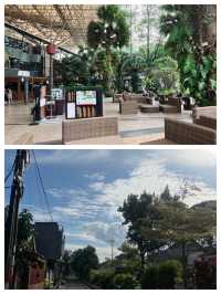 探索印尼馬格朗市的魅力之旅