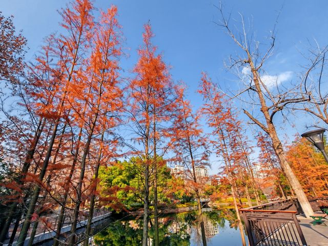靜安區歷史最悠久的公園 - 閘北公園 - 我還是第一次去呢！