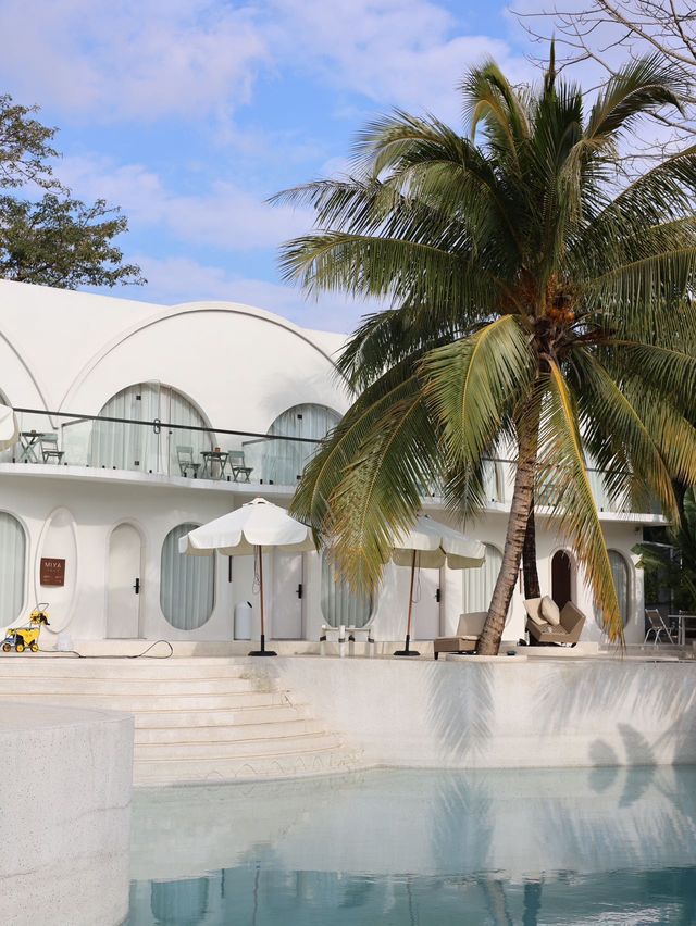 太美了吧~ 在萬寧 太美了吧~ 在萬寧