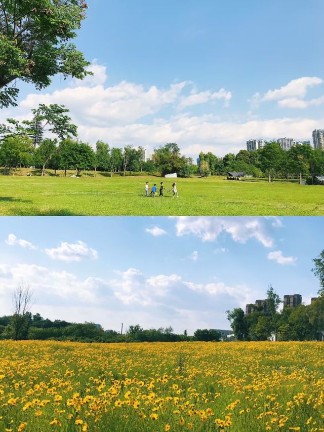 成都公園/週末遛娃露營好去處