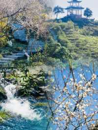 馬巒山郊野公園 | 邂逅冬日裏的詩意美好