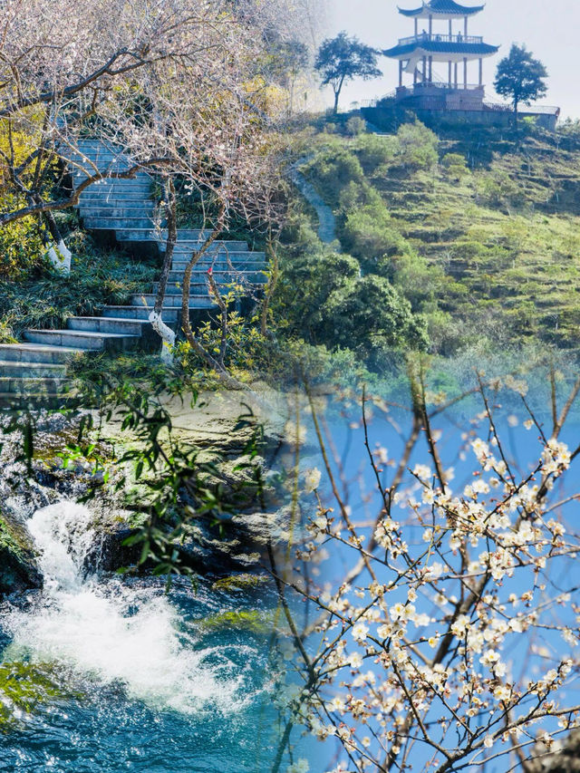 馬巒山郊野公園 | 邂逅冬日裏的詩意美好