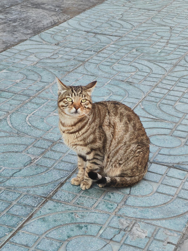 南京旅遊