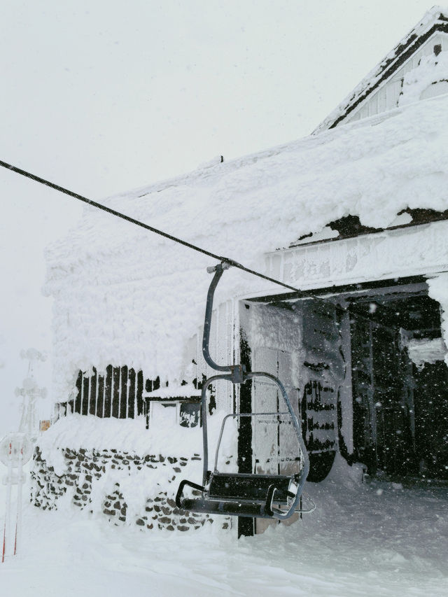 Exploring Nagano's Shiga Kogen Ski Resort: Yokoteyama & Shibutoge