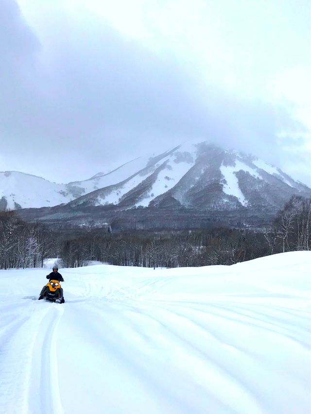 北海道小眾玩法！不滑雪也能馳騁大山