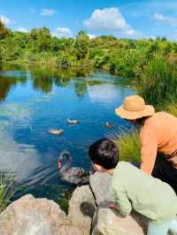 Auckland Botanic Gardens: A Scenic Escape