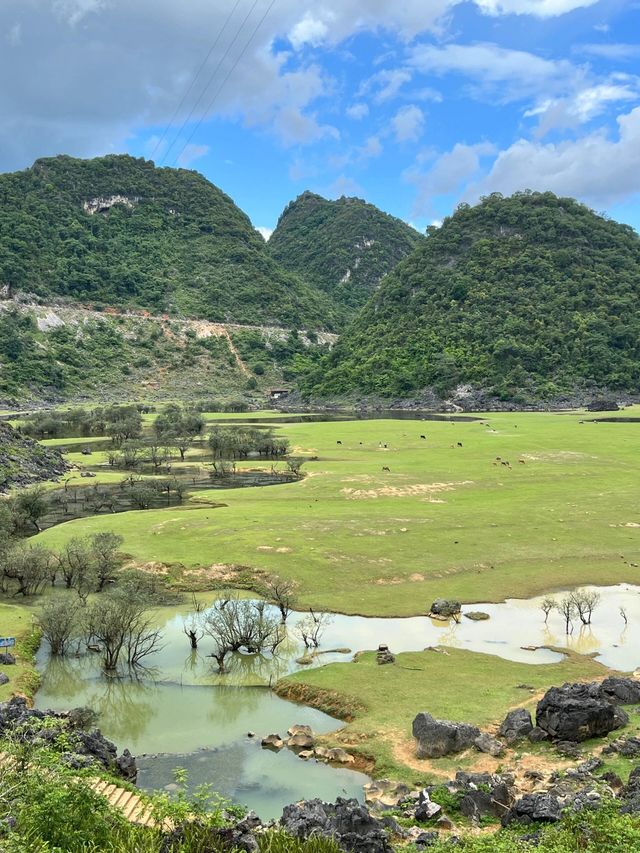 廣西百色隴卡賴｜當新疆草原遇上桂林山水
