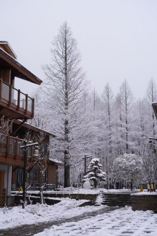 Chongqing! Snowy homestay! Really atmospheric!!