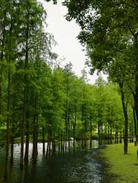 佛山4個露營地攻略