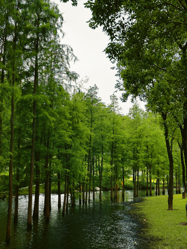 佛山4個露營地攻略 佛山4個露營地攻略