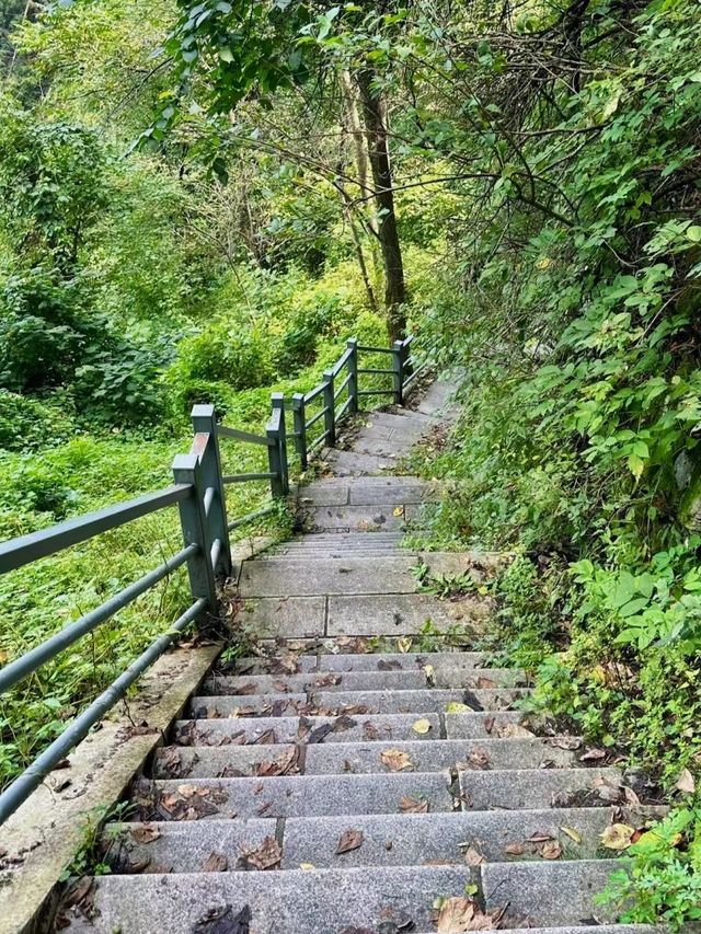 一生必去嘅鐵剎山，藏住唔為人知嘅故事！