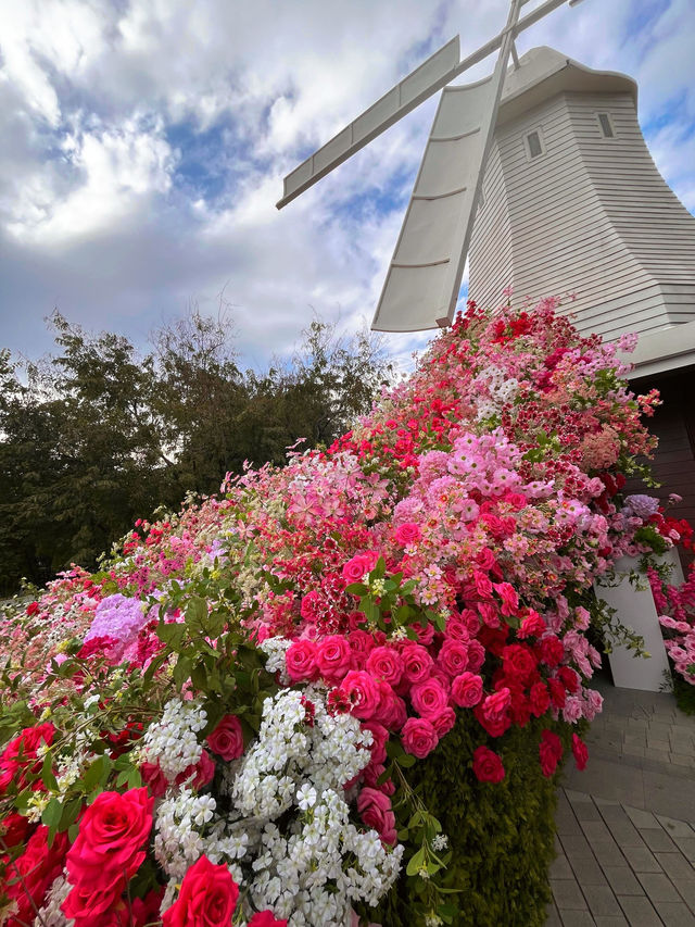 ——深圳市荷蘭花卉小鎮：鬱金香年花市的絢麗之景