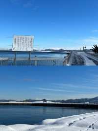 奔赴青森，邂逅四季浪漫