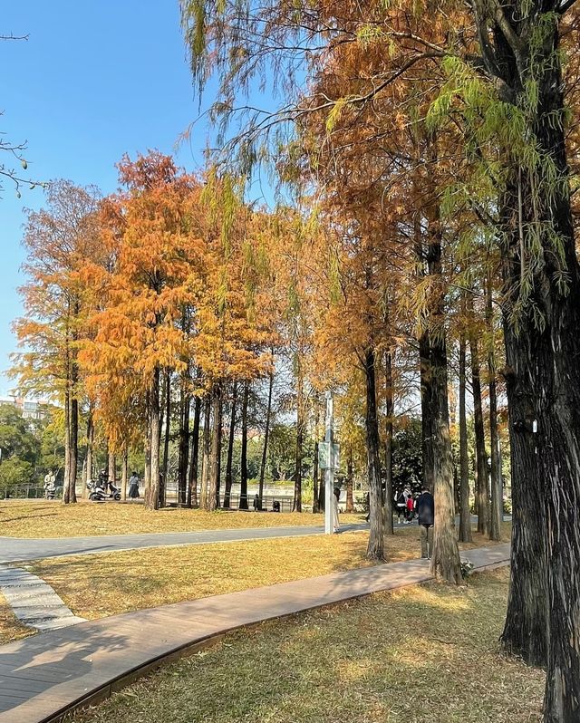 四海公園，邂逅冬日暖陽的浪漫