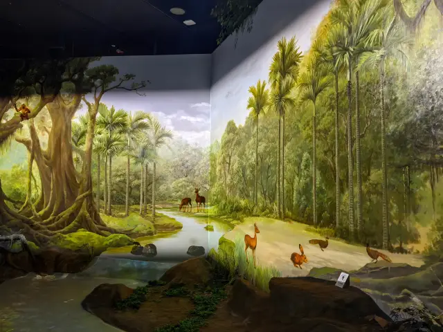 如入仙境——海南省博物館藝術館