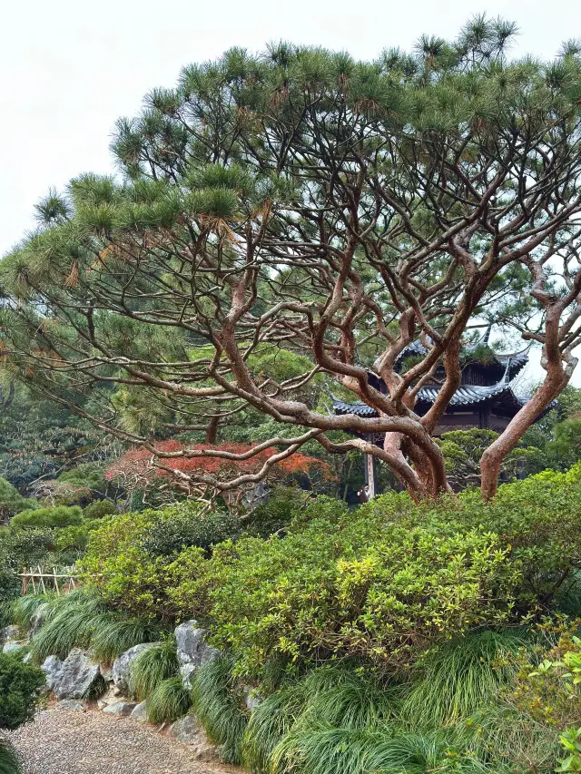 4-Day Tour of Shanghai, Hangzhou, and Suzhou: Explore Jiangnan Without the Hassle