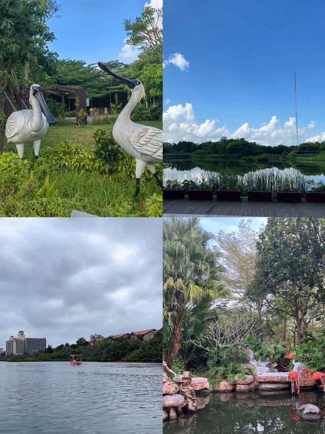 誤入城市綠肺 邂逅紅樹林灣濕地公園