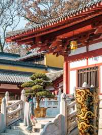 人生建議去完這些地方再離開南京