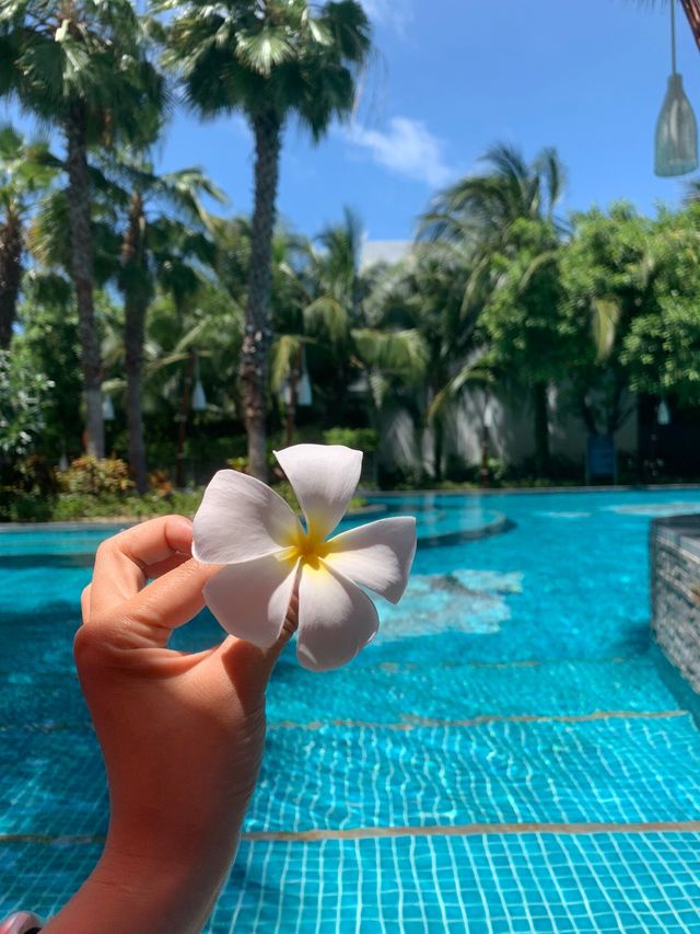 富國島|豪華翡翠灣公寓酒店