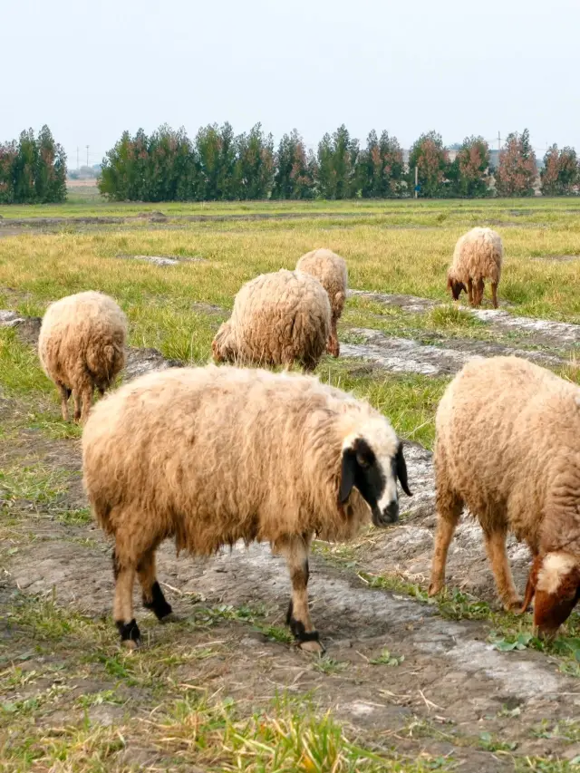 ทริป 7 วันในมองโกเลีย เที่ยวง่ายไม่หลงทาง