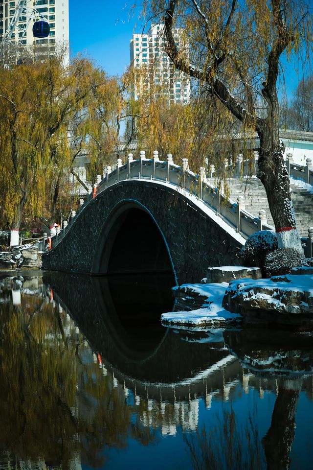 打卡西寧人民公園