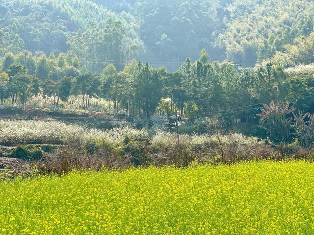 踏春踏青，大地回春，萬物復甦