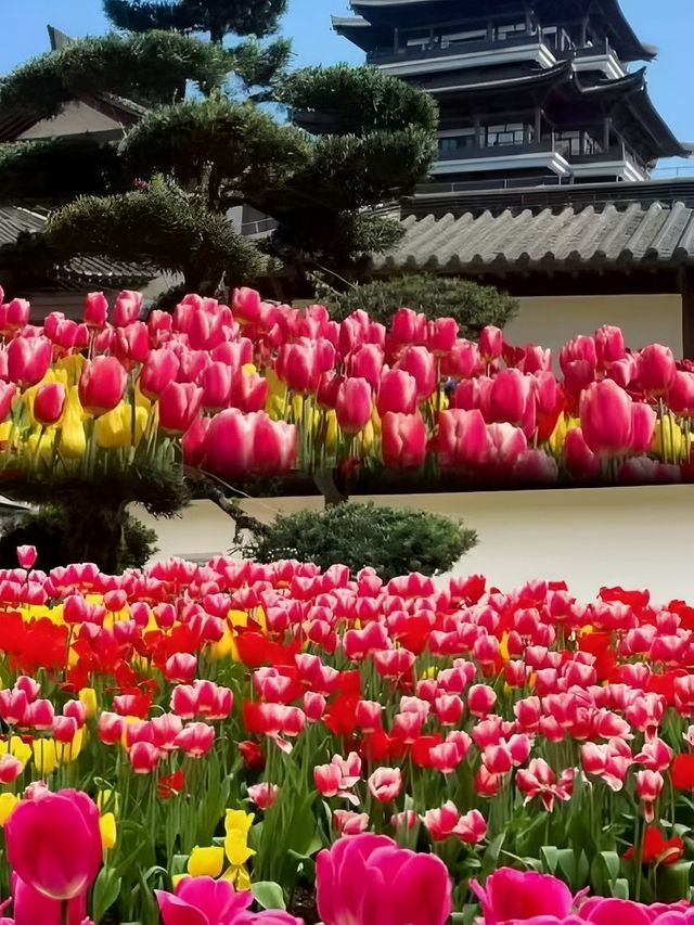 太抵啦！喺廣州唔使花一分錢就可以留足一日