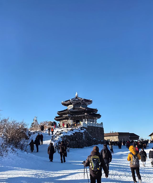 漫步德裕山國立公園｜邂逅韓國絕美自然畫卷