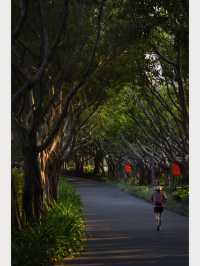 廈門寶藏公園竟然還有人不知道！