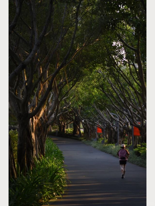 廈門寶藏公園竟然還有人不知道！