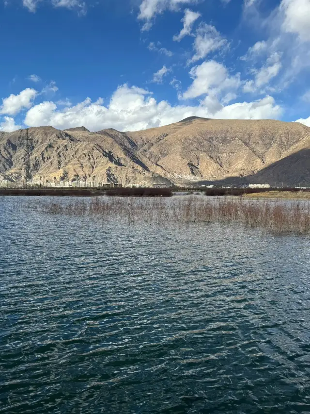 A Super Detailed Guide to Nyingchi, Yamdrok Lake, and Namtso for Winter Vacation