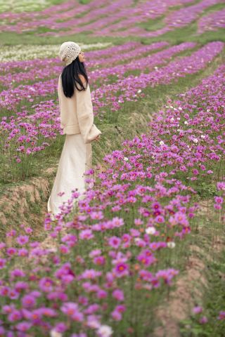 Free flower viewing spots in Hainan (with addresses)