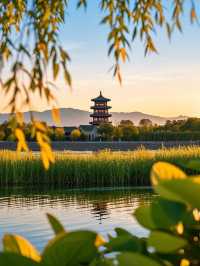 中國東營，黃河畔的生態寶藏之地！
