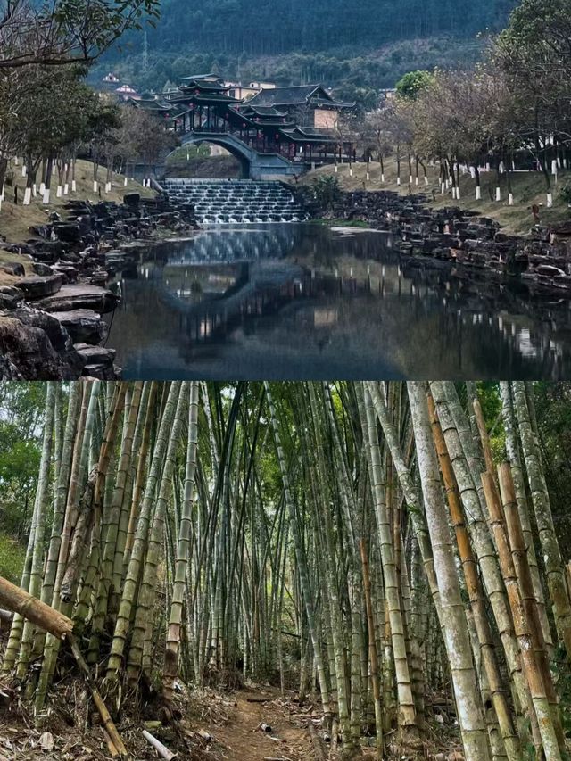 來屏邊旅遊跟著這條路線就對了。