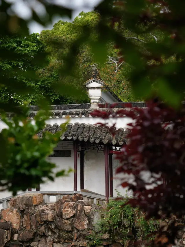 망사원: 쑤저우 중형 정원의 진주