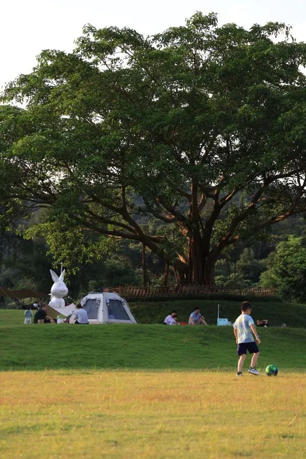 恩上水庫徒步攻略 | 遇絕美海景&綠意濕地🌿