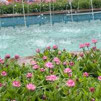 廣州雲台花園｜絕美花海打卡攻略！