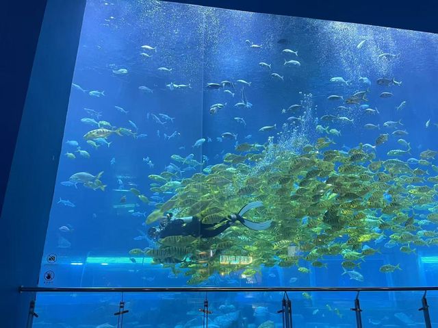 與大理的小動物互動