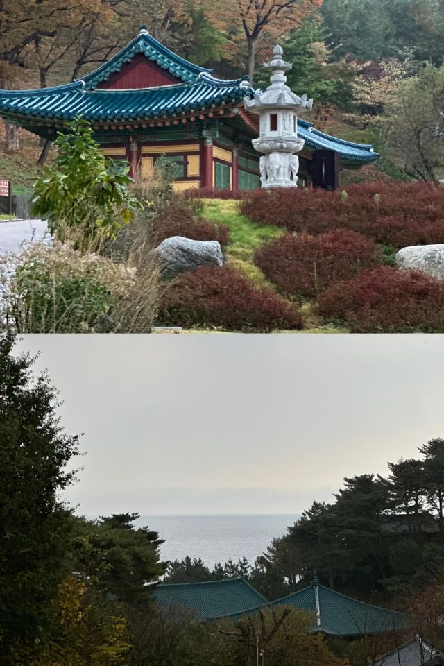 探索韓國襄陽，解鎖小眾寶藏地的驚喜密碼