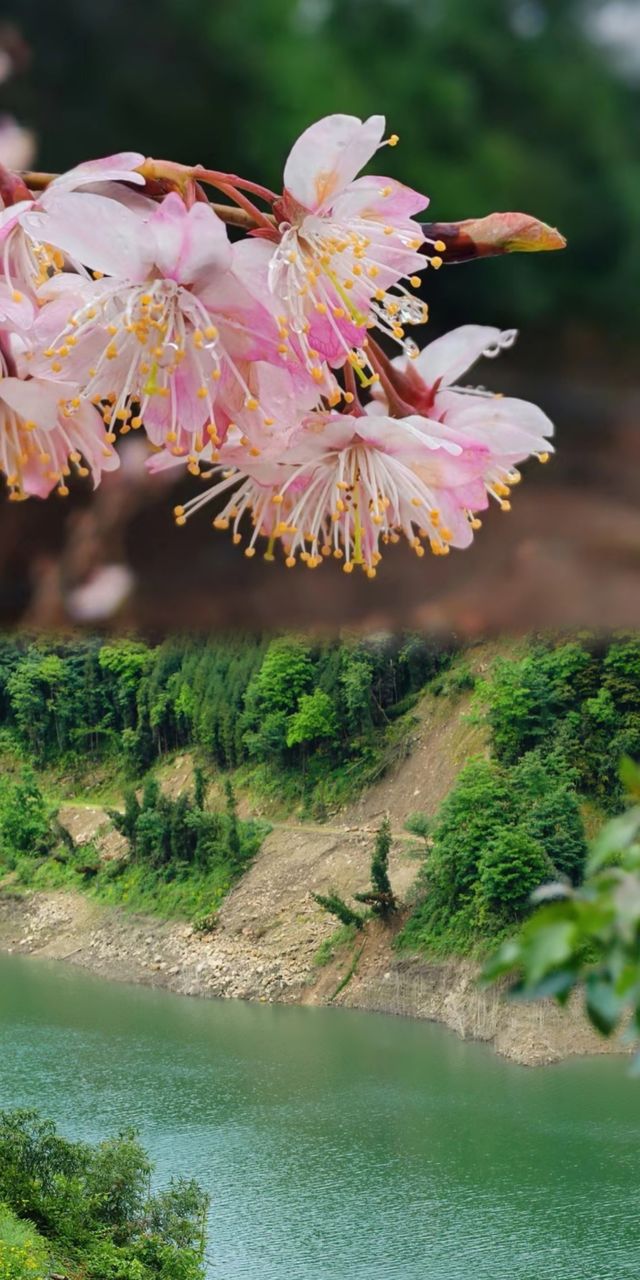 春日遠足攻略：12處綠色療癒之地，啟程上春山！