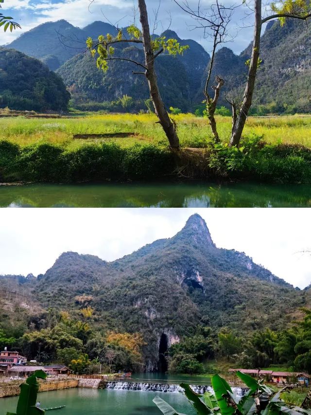 壩美已回，我的消費觀崩塌了。