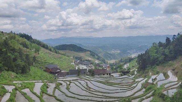 湖南婁底大熊山｜南方動植物博物園