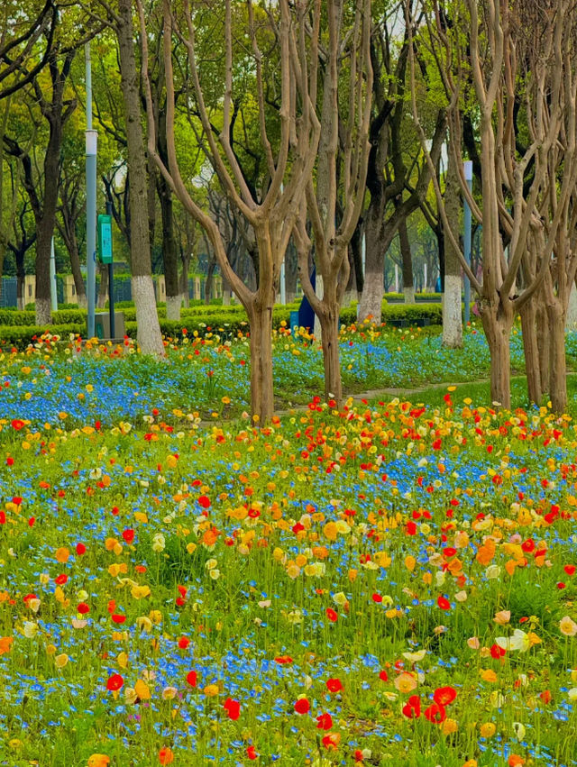 4月必打卡免費公園賞花拍照📸