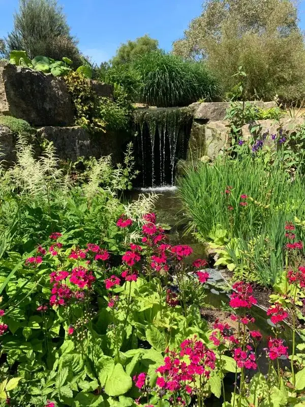 Exploring the Rock Garden at Kew Gardens