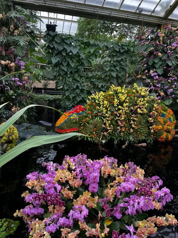 London Exhibition: Kew Gardens Orchid Festival