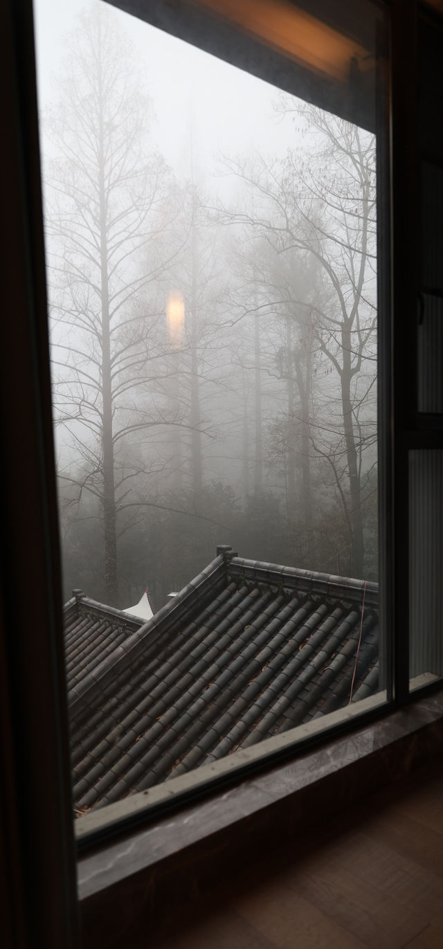 溫泉與春天：一場身心的洗禮。