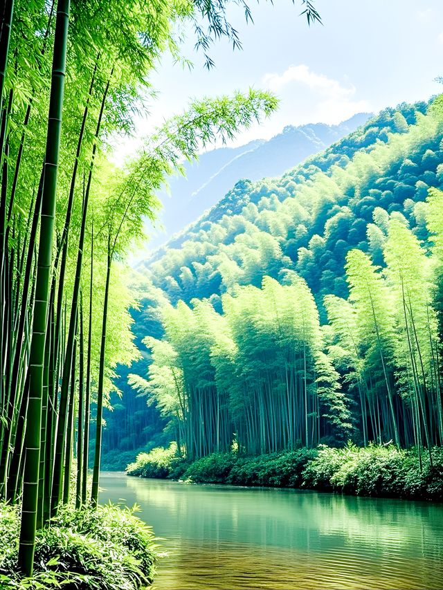 蜀南竹海藏着嘅神秘「綠密碼」，你能夠解開嗎？