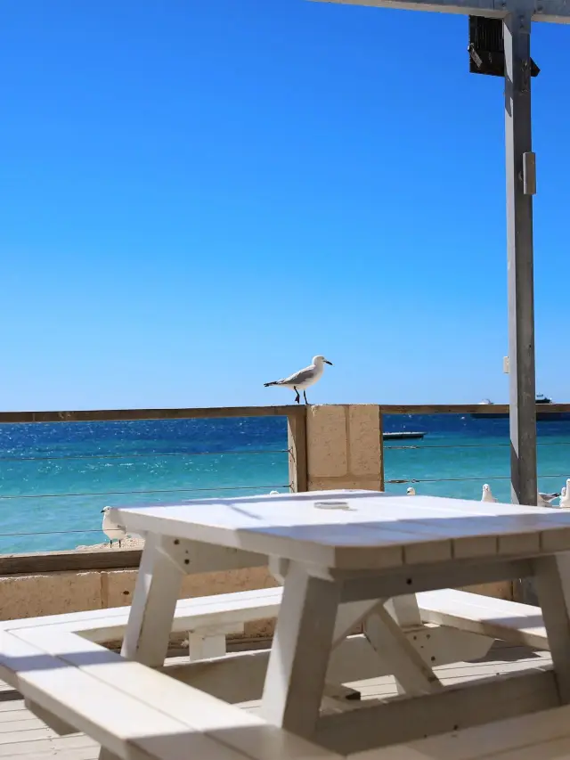 6일간의 호주 여행, 이런 여행은 생각도 못 하셨죠?