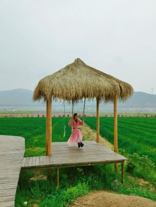 Weekend Getaway to Yuanfu Rice Paddy Fields—Poetry and Distance Near Wuhan!